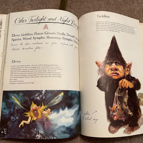 Gnomes 1976 Vintage Children’s Book Rien Huygen - Picture 13 of 15